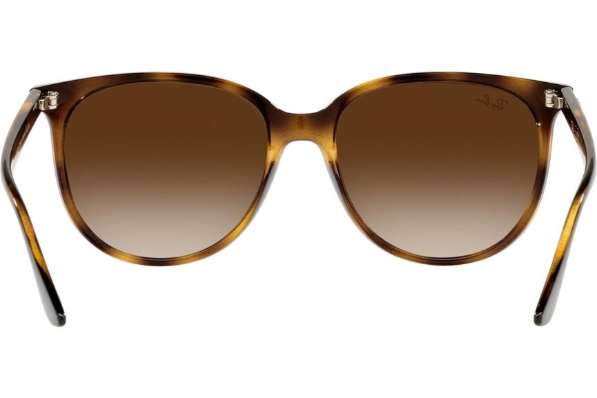 Sunčane naočale Ray-Ban RB4378 710/13 Kvadratni Havana