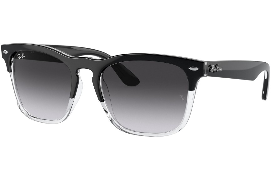 Sunčane naočale Ray-Ban Steve RB4487 66308G Kvadratni Crni