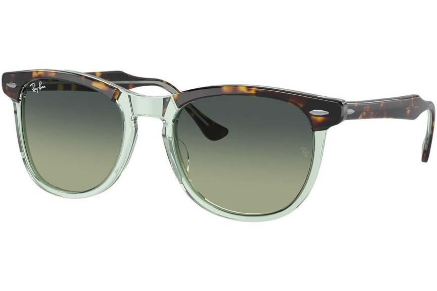 Sunčane naočale Ray-Ban Eagleeye RB2398 1376BH Okrugao Zeleni