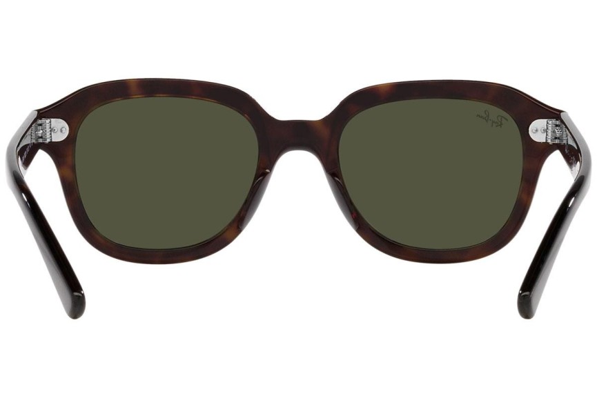 Sunčane naočale Ray-Ban Erik RB4398 902/31 Kvadratni Havana