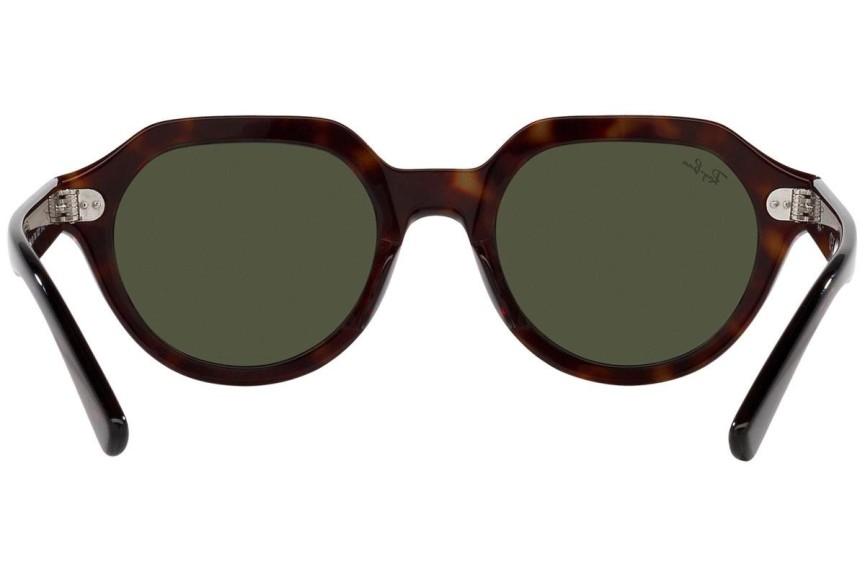 Sunčane naočale Ray-Ban Gina RB4399 902/31 Kvadratni Havana