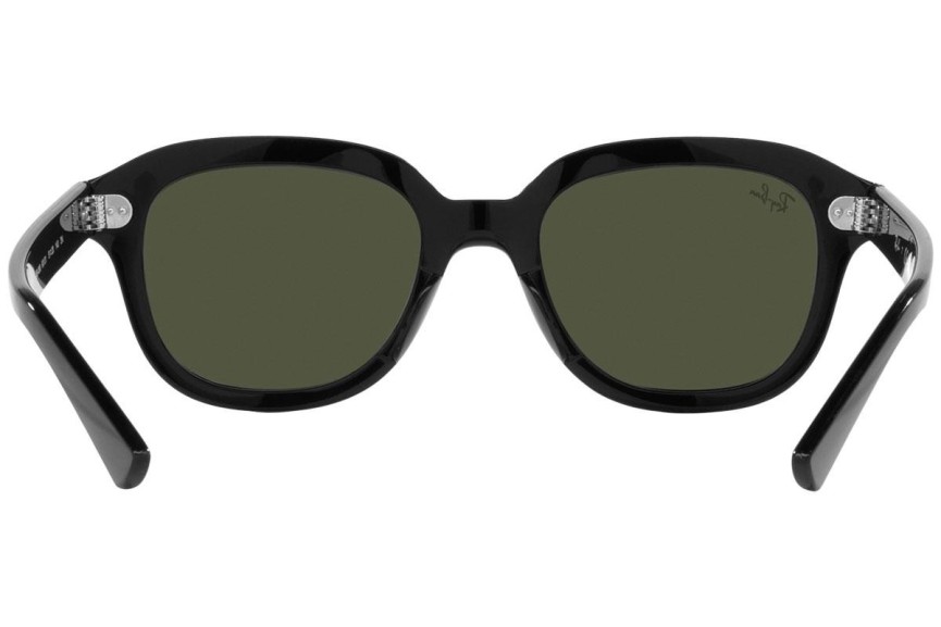 Sunčane naočale Ray-Ban Erik RB4398 901/31 Kvadratni Crni