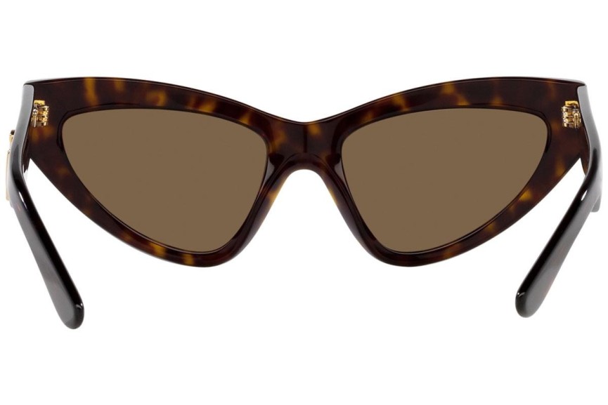 Sunčane naočale Dolce & Gabbana DG4439 502/73 Cat Eye Havana