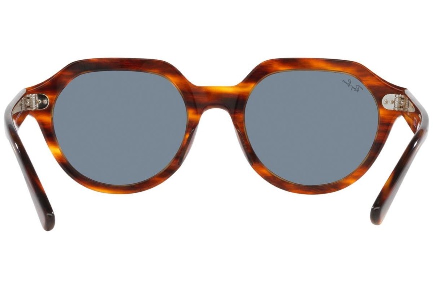 Sunčane naočale Ray-Ban Gina RB4399 954/62 Kvadratni Havana