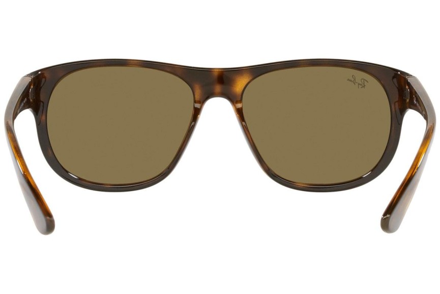 Sunčane naočale Ray-Ban RB4351 710/73 Ovalni Havana