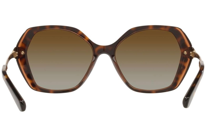 Sunčane naočale Bvlgari BV8241KB 5496T5 Polarized Posebni Havana