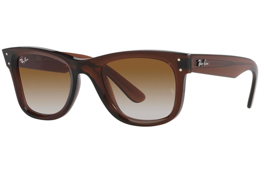 Sunčane naočale Ray-Ban Wayfarer Reverse RBR0502S 6709CB Kvadratni Smeđi