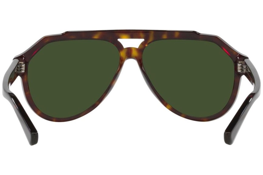 Sunčane naočale Dolce & Gabbana DG4452 502/71 Pilotski Havana