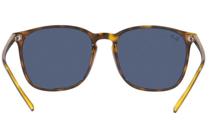 Sunčane naočale Ray-Ban RB4387 710/80 Kvadratni Havana