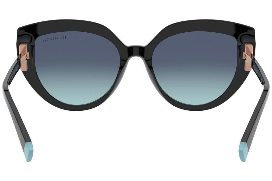 Sunčane naočale Tiffany & Co. TF4170 80019S Cat Eye Crni