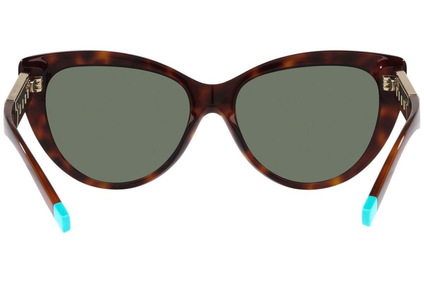 Sunčane naočale Tiffany & Co. TF4196 80023H Cat Eye Havana