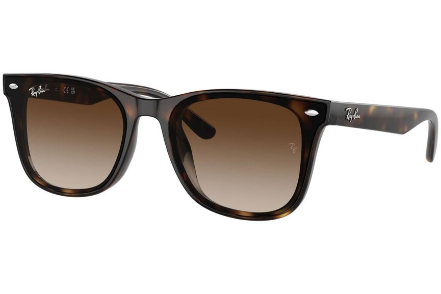 Sunčane naočale Ray-Ban RB4420 710/13 Kvadratni Havana