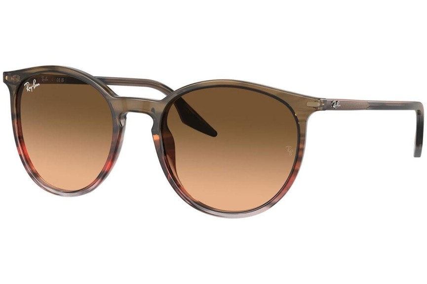 Sunčane naočale Ray-Ban RB2204 13953B Okrugao Smeđi