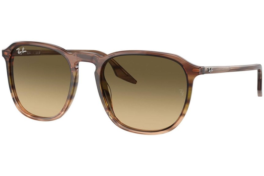 Sunčane naočale Ray-Ban RB2203 13920A Kvadratni Smeđi