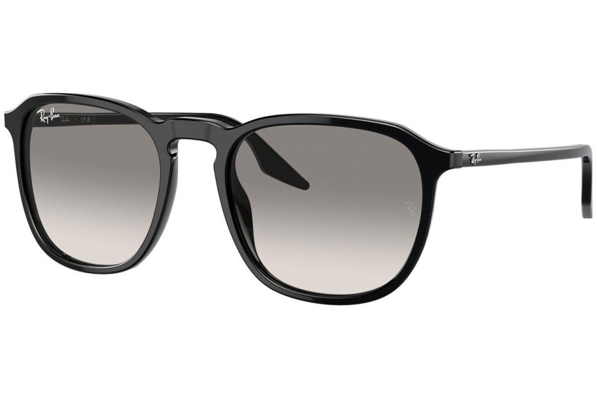 Sunčane naočale Ray-Ban RB2203 901/32 Kvadratni Crni