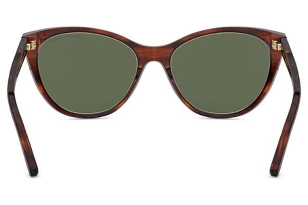 Sunčane naočale Ralph Lauren RL8186 500771 Cat Eye Havana