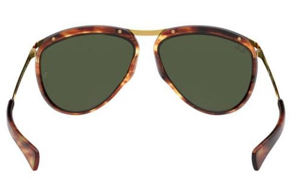 Sunčane naočale Ray-Ban Olympian Aviator RB2219 954/31 Pilotski Havana