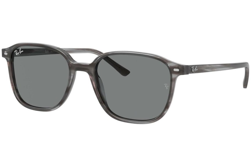 Sunčane naočale Ray-Ban Leonard RB2193 1314B1 Kvadratni Sivi