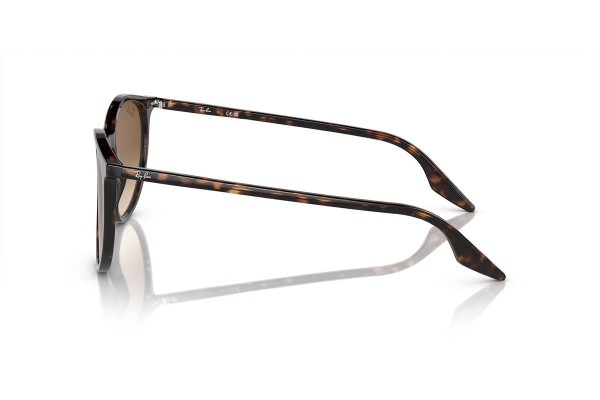 Sunčane naočale Ray-Ban RB2204 902/51 Okrugao Havana