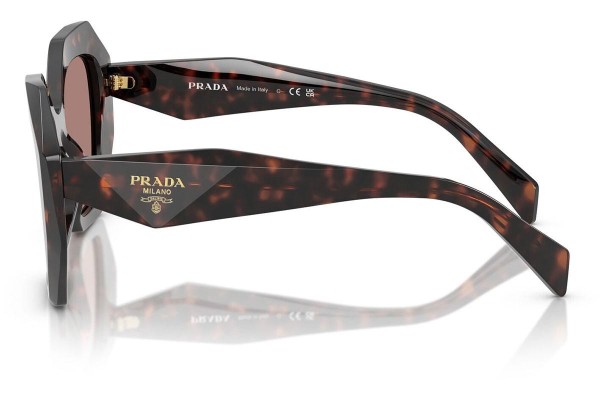 Sunčane naočale Prada PR16WS 17N60B Posebni Havana