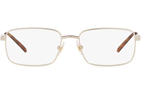 Arnette Gold Rust AN6129 739