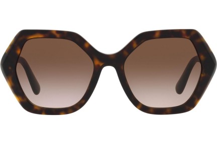 Sunčane naočale Dolce & Gabbana DG4406 502/13 Kvadratni Havana