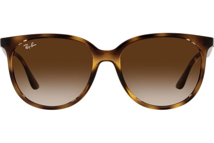 Sunčane naočale Ray-Ban RB4378 710/13 Kvadratni Havana