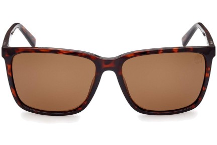 Sunčane naočale Timberland TB9280-H 52H Polarized Kvadratni Havana