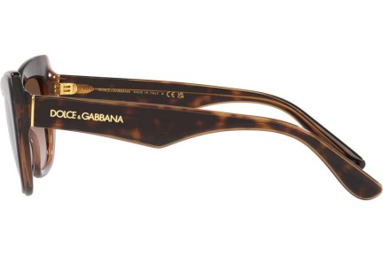 Sunčane naočale Dolce & Gabbana DG4417 325613 Cat Eye Havana