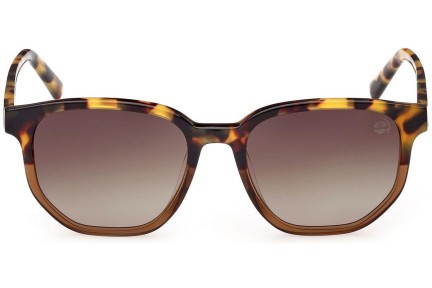 Sunčane naočale Timberland TB9305-H 53H Polarized Okrugao Havana