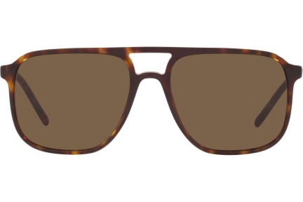 Sunčane naočale Dolce & Gabbana DG4423 502/73 Pilotski Havana