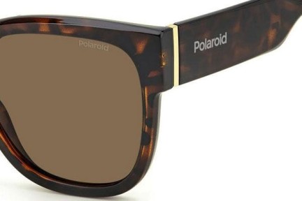 Sunčane naočale Polaroid PLD6167/S 086/SP Polarized Kvadratni Havana