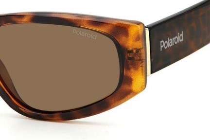 Sunčane naočale Polaroid PLD6169/S 086/SP Polarized Cat Eye Havana