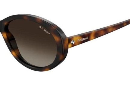 Sunčane naočale Polaroid PLD4087/S 086/LA Polarized Ovalni Havana