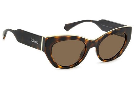 Sunčane naočale Polaroid PLD6199/S/X 086/SP Polarized Cat Eye Havana