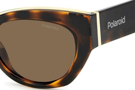 Sunčane naočale Polaroid PLD6199/S/X 086/SP Polarized Cat Eye Havana