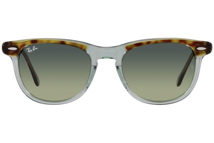 Sunčane naočale Ray-Ban Eagleeye RB2398 1376BH Okrugao Zeleni