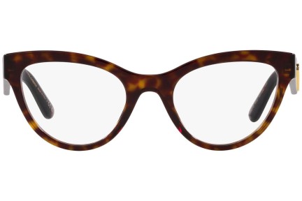 Naočale Dolce & Gabbana DG3372 502 Cat Eye Havana