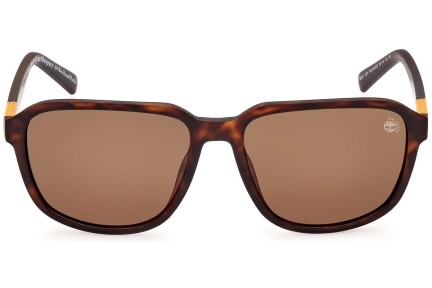 Sunčane naočale Timberland TB9311 52H Polarized Kvadratni Havana