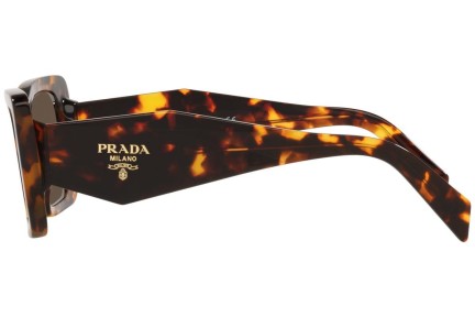 Sunčane naočale Prada PR08YS 01V8C1 Cat Eye Havana