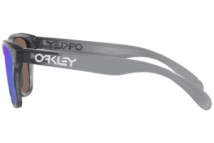 Sunčane naočale Oakley Frogskins XXS OJ9009-02 Kvadratni Sivi