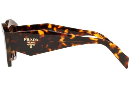 Sunčane naočale Prada PR07YS VAU6S1 Cat Eye Havana