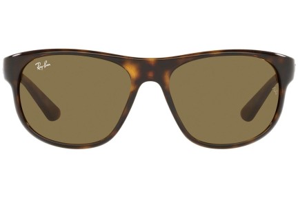 Sunčane naočale Ray-Ban RB4351 710/73 Ovalni Havana