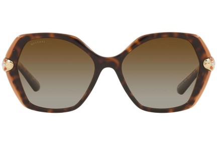 Sunčane naočale Bvlgari BV8241KB 5496T5 Polarized Posebni Havana