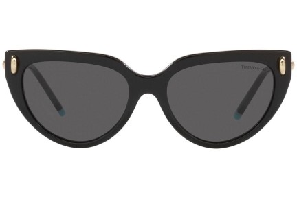 Sunčane naočale Tiffany & Co. TF4195 8001S4 Cat Eye Crni