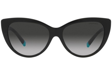 Sunčane naočale Tiffany & Co. TF4196 80013C Cat Eye Crni