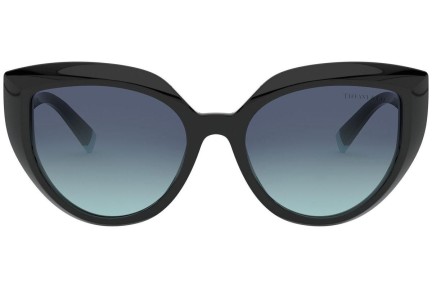 Sunčane naočale Tiffany & Co. TF4170 80019S Cat Eye Crni