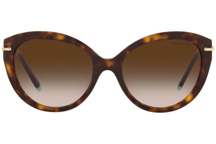 Sunčane naočale Tiffany & Co. TF4187 80153B Cat Eye Havana