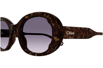 Sunčane naočale Chloe CH0197S 002 Ovalni Havana