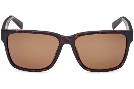 Sunčane naočale Timberland TB9335-H 52H Polarized Kvadratni Havana